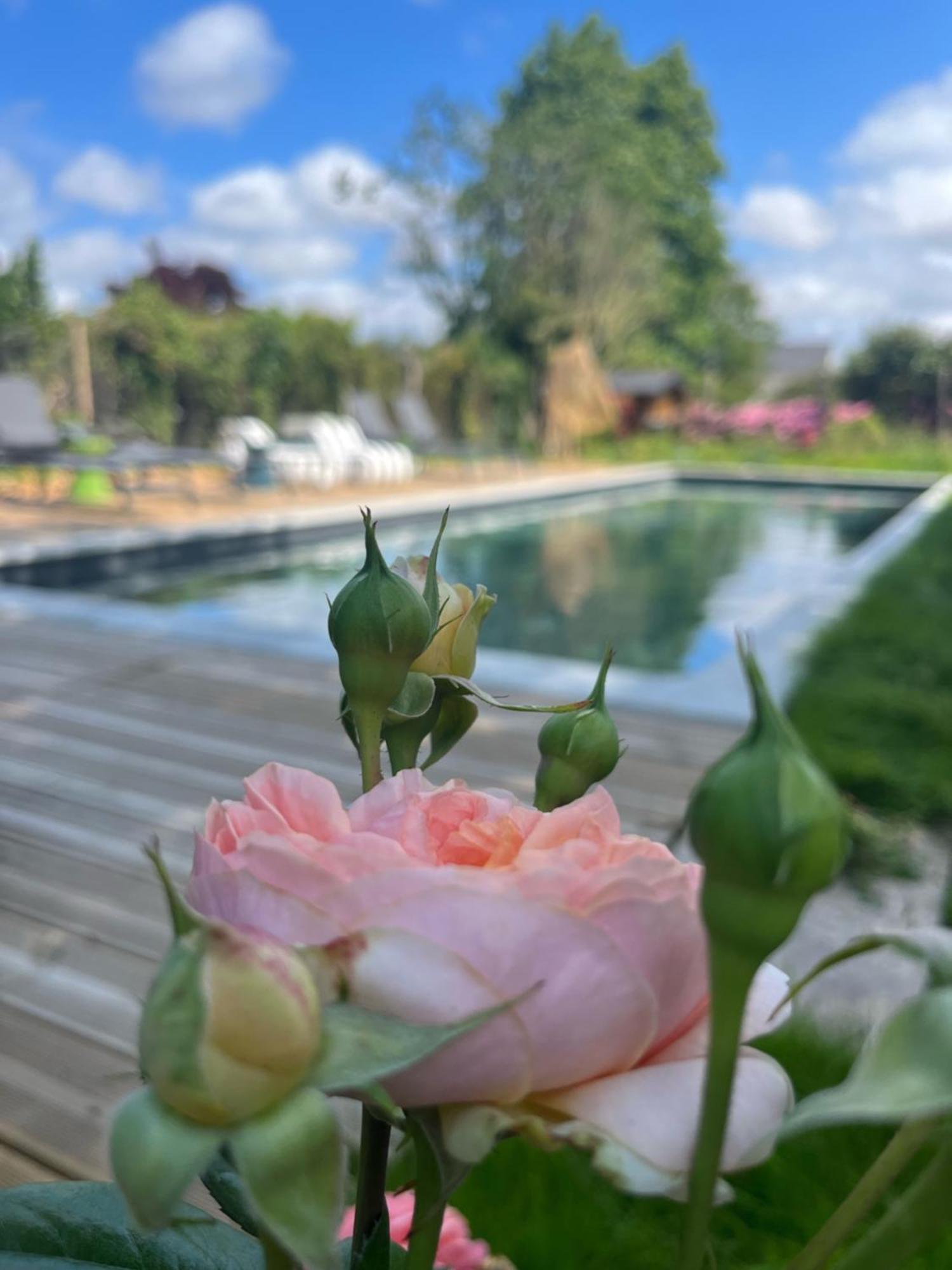 La_Grande_Guerais Bed & Breakfast Beaussais Sur Mer Luaran gambar